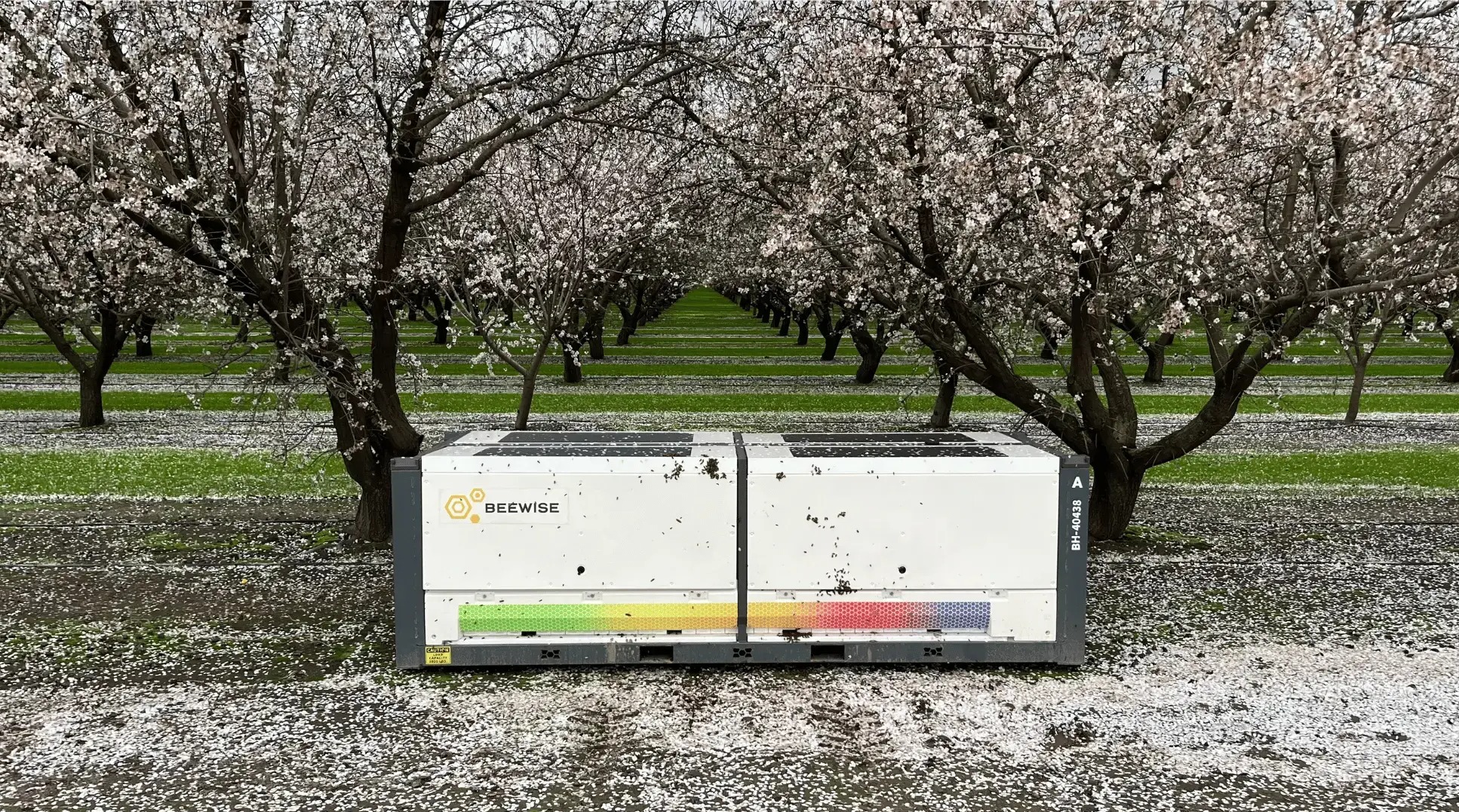 The BeeHome - Beewise's autonomous robotic beehive unit in an almond orchard during bloom season